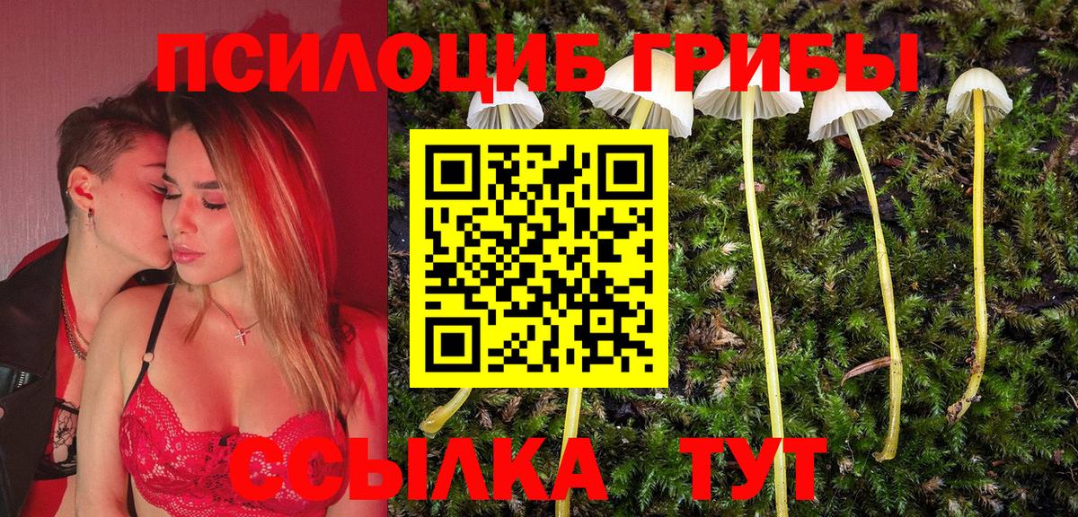 Полысаево  цены наркотик  Вход с VPN  Галлюциногенные грибы Psilocybine cubensis 