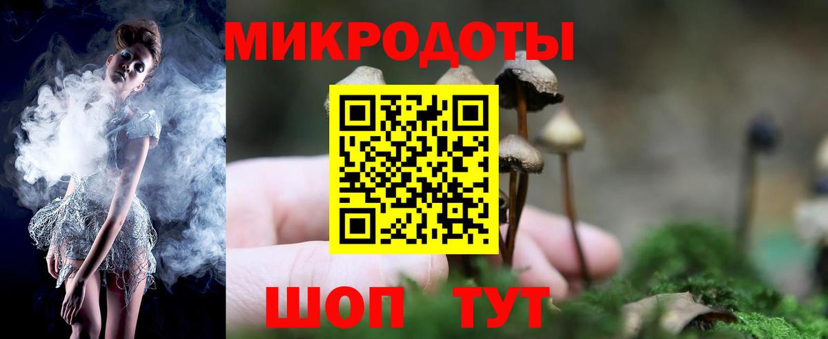 Псилоцибиновые грибы мухоморы Полысаево
